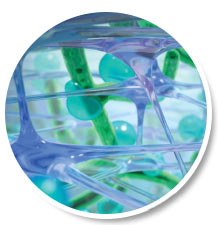 acuvue oasys 1 day contact lenses